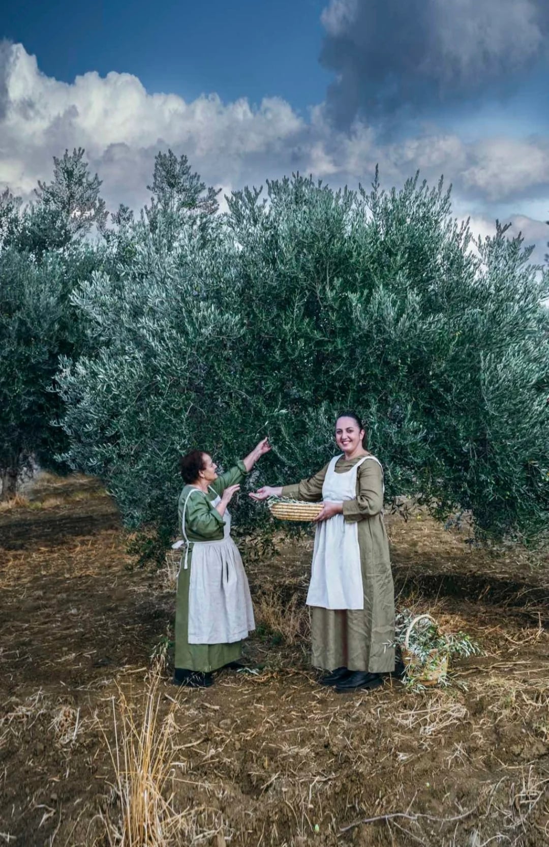 Cyprus countryside capturing the nostalgic rural heritage that inspired Chryso Lefou's culinary journey