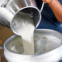 6th Traditional Festival 'Back to the Old Days – Flavours of Milk' in Linou-Flasou villages