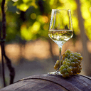 OENOFEST Moves to Omodos for a Three-Day Celebration of Wine and Tradition