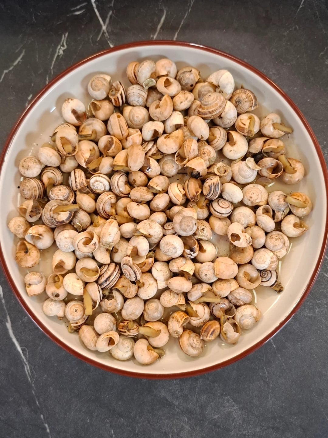 Καραόλοι με ούζο - Recipe image